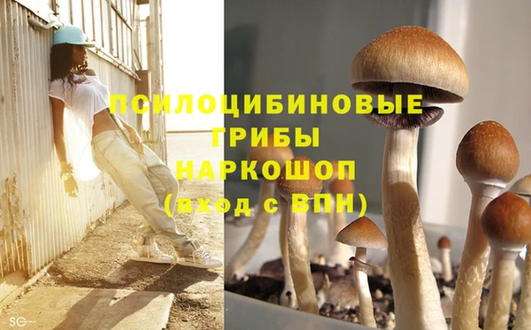 мяу мяу кристалл Богданович