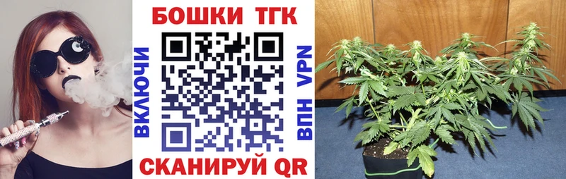 купить наркоту  Кириллов  Бошки марихуана семена 